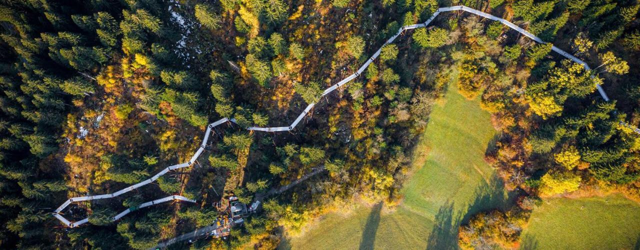 Renovated 3 Rooms Apartment In Ruschein Near Laax エクステリア 写真