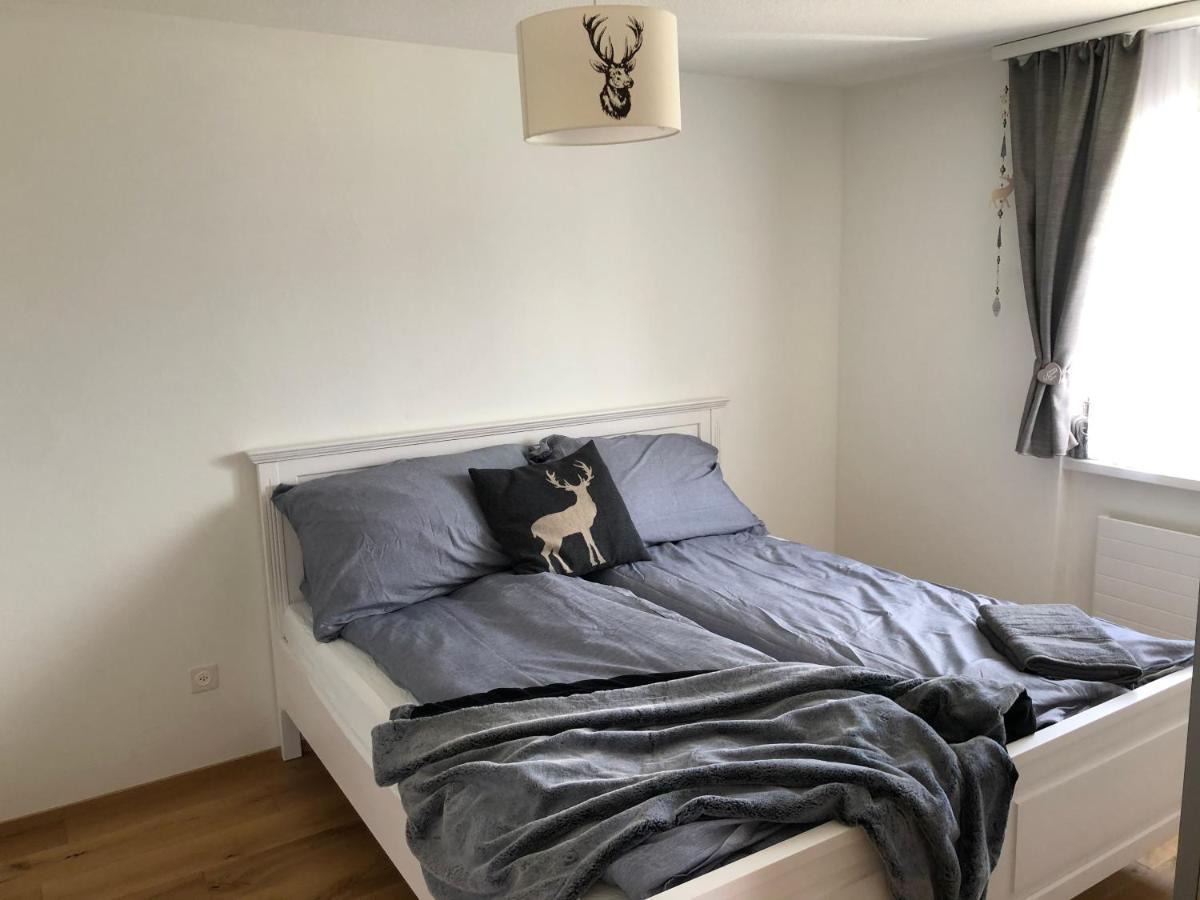 Renovated 3 Rooms Apartment In Ruschein Near Laax エクステリア 写真